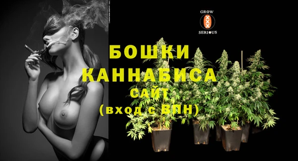 мдпв Чита