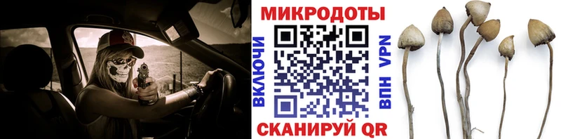 Псилоцибиновые грибы мицелий  Чердынь 